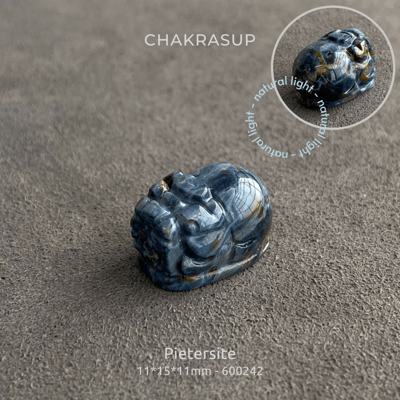 天然貝 ZX-160＋ 公式限定フリースポーチ付 | ZEXUS公式サイト | ゼクサス