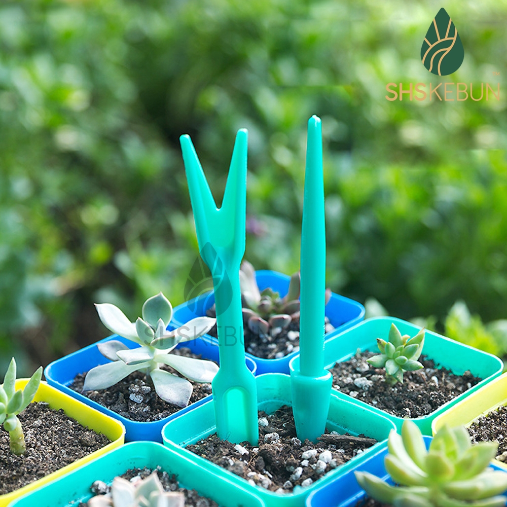 Cactus and Succulent Gardening Tool 14cm Seedling Lifter and Puncher SHS  Kebun | SHS_Kebun Official Store