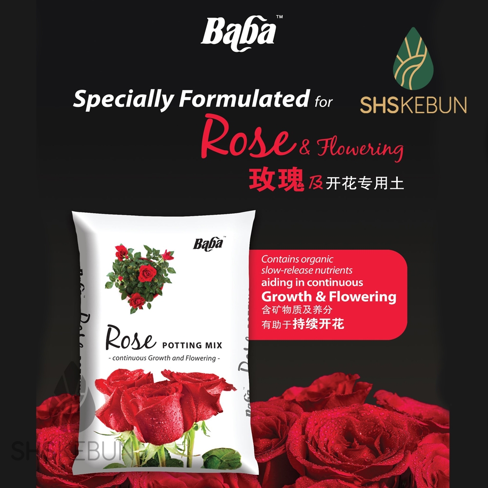 Baba Rose Potting Mix Tanah Organik untuk Pokok Bunga Ros Tanaman  