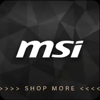 MSI