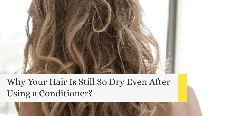 Image showing frizzy brunette curly long hair