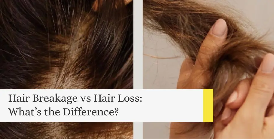 Split image of oily hair roots and hair breakage