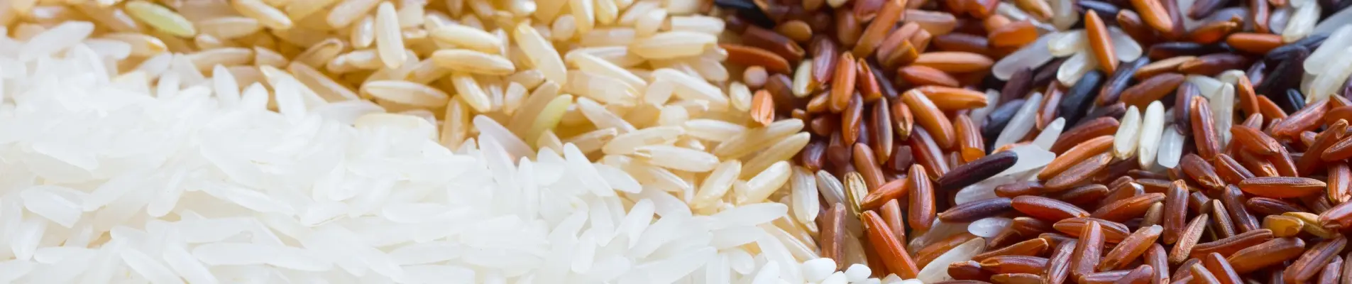 What Types of Rice a
