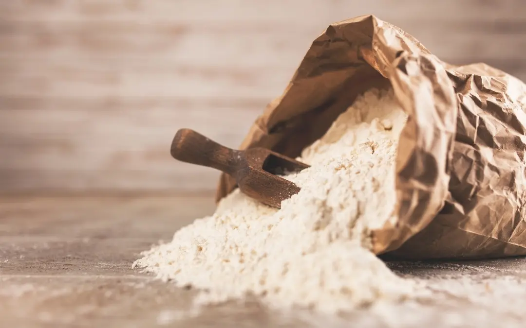 Bread Flour vs All-P