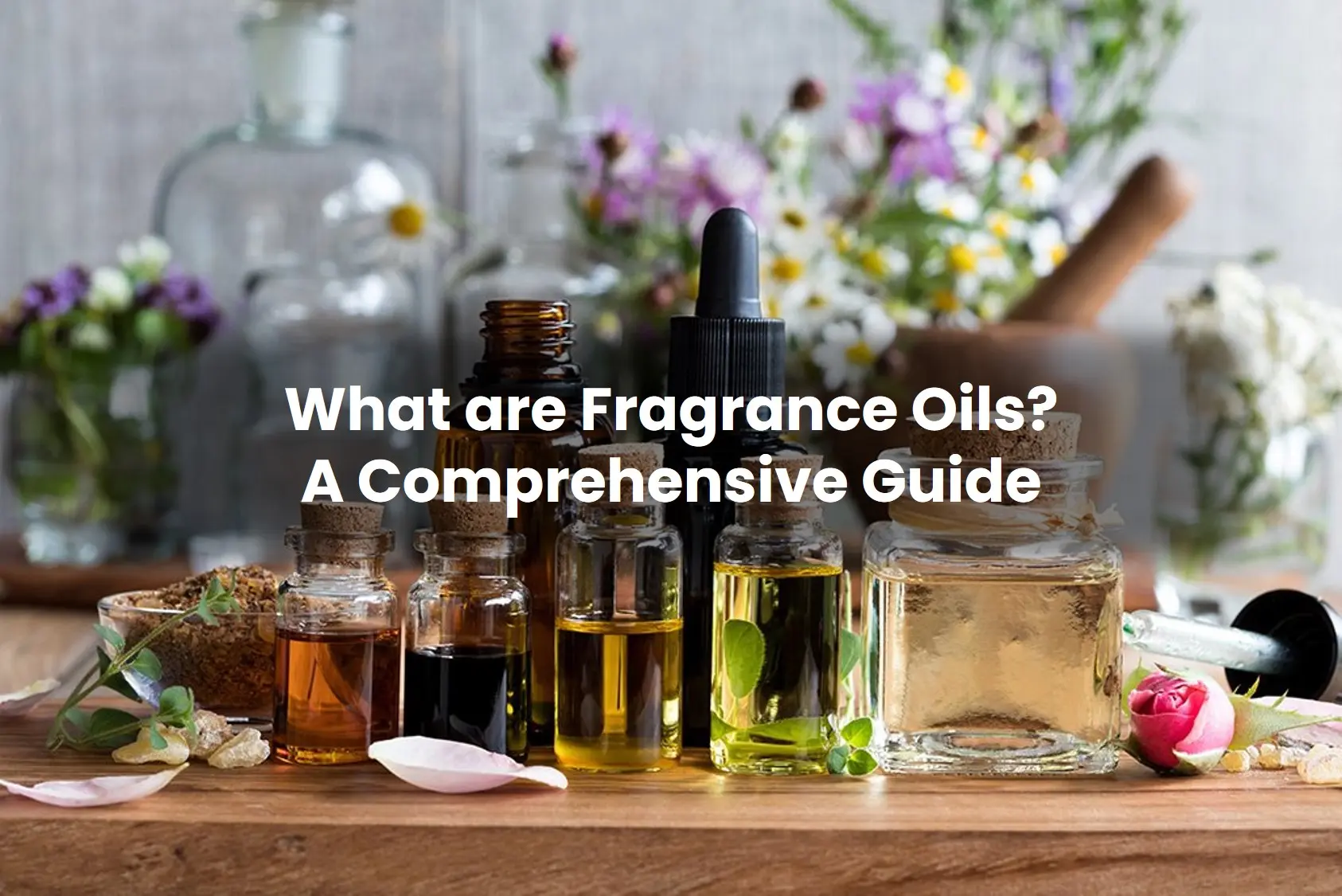 What are Fragrance O