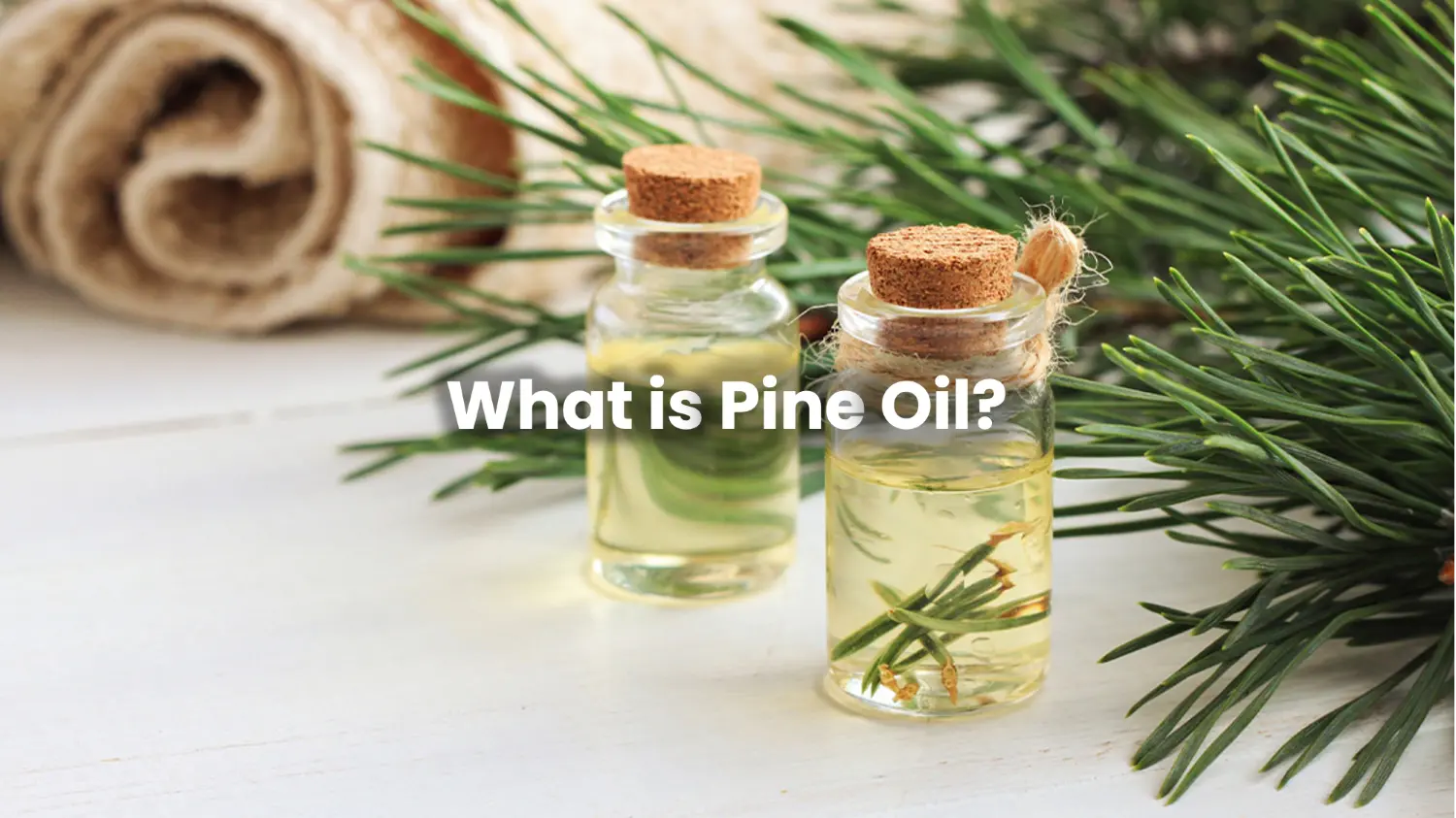 What is Pine Oil?