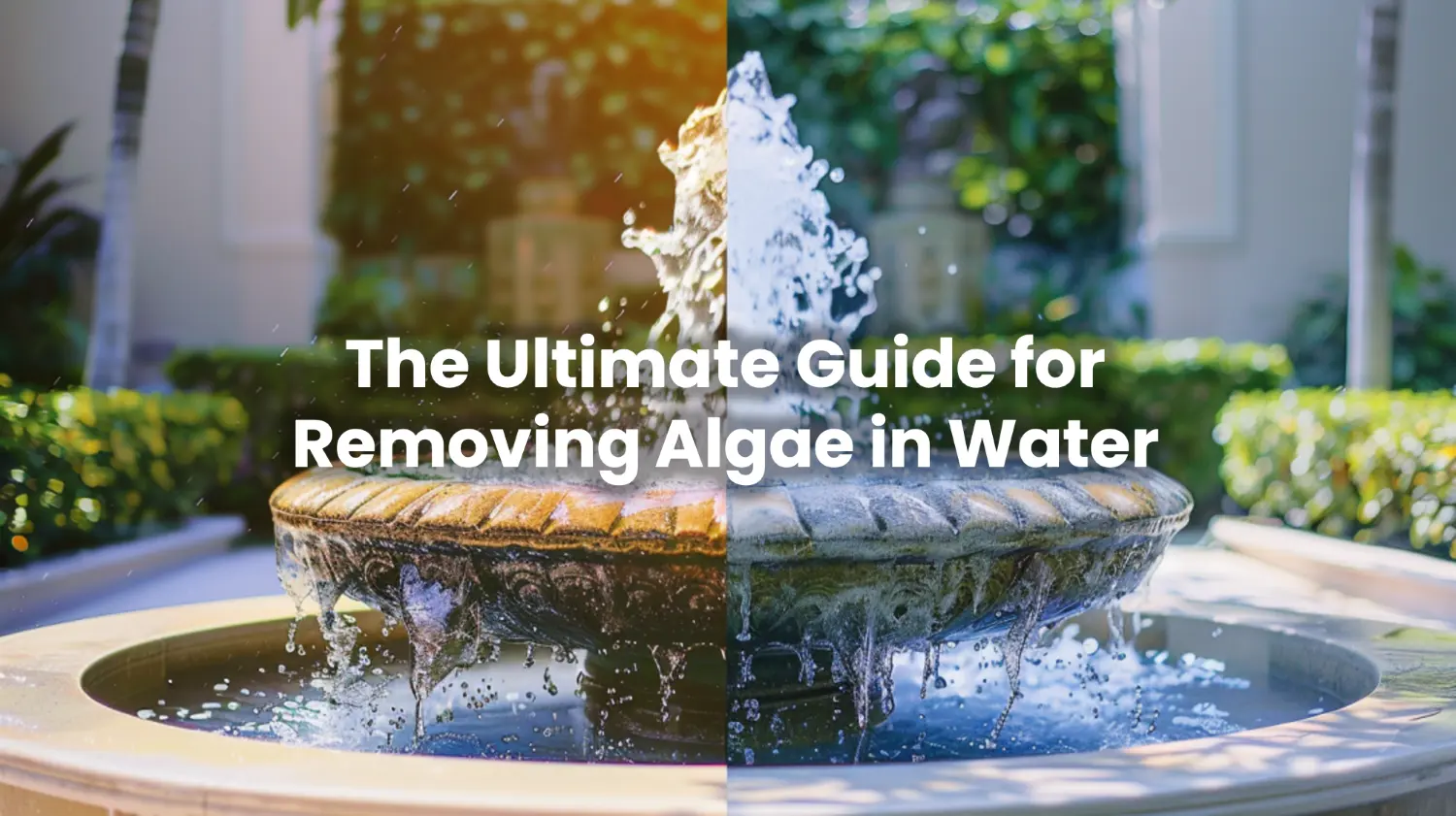 The Ultimate Guide f