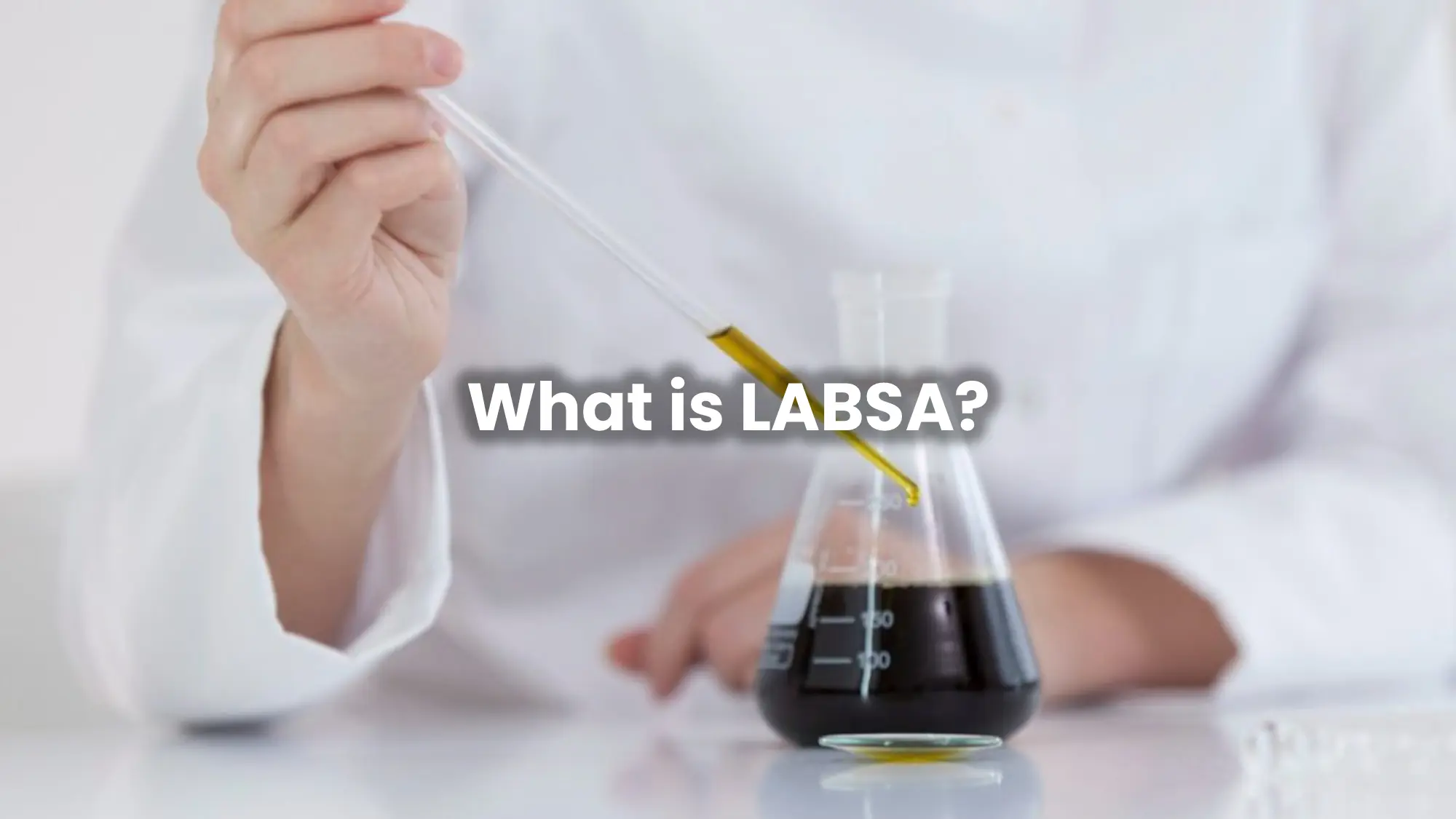 What is LABSA?
