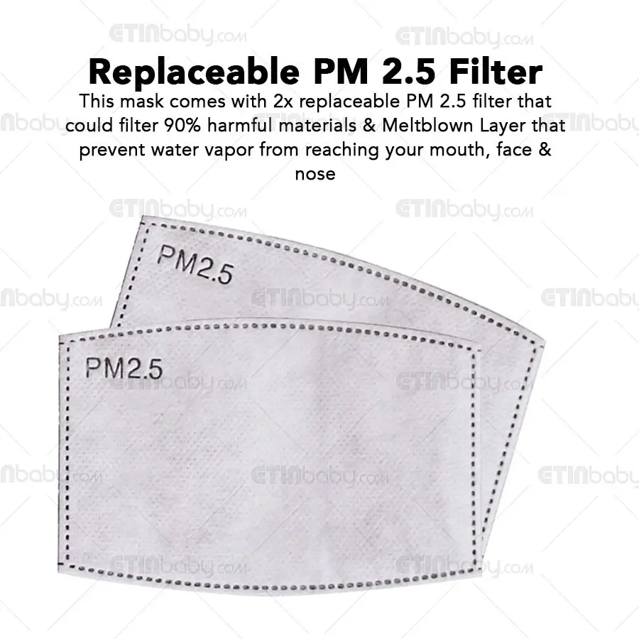 Mask Filter PM2.5