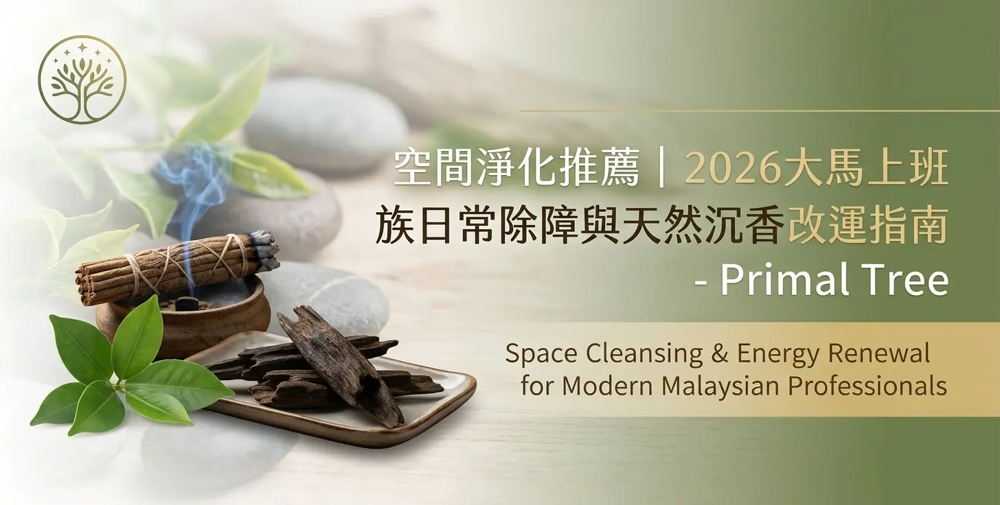 空間淨化推薦｜2026大馬上班族日常除障