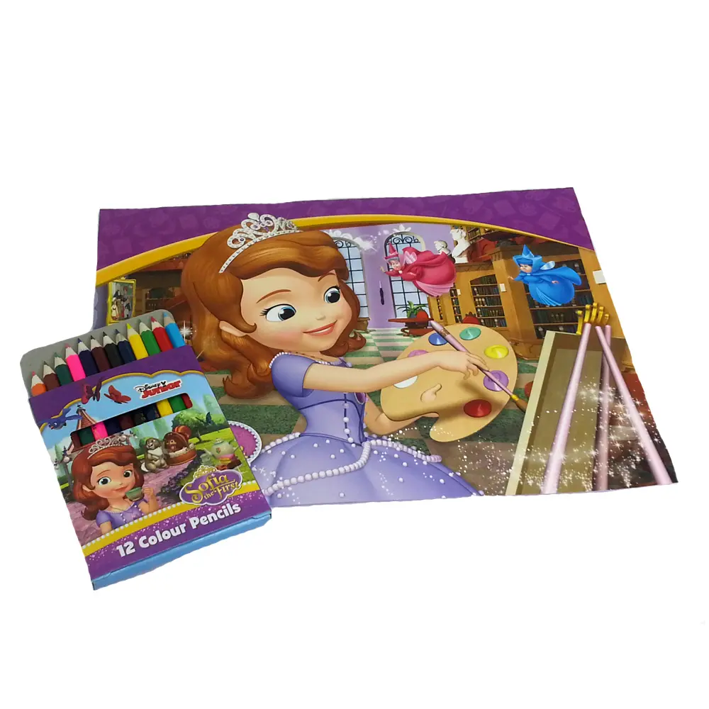 Disney Sofia Paintin-1