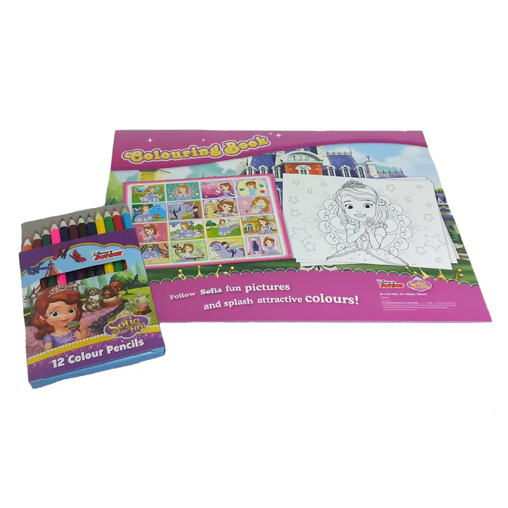 Disney Sofia Paintin-2