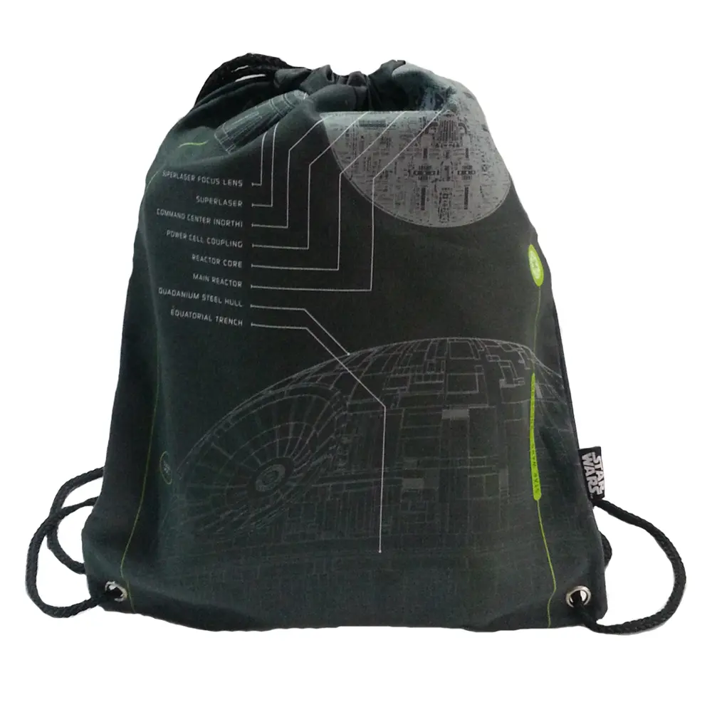 Disney Star Wars Rog-2