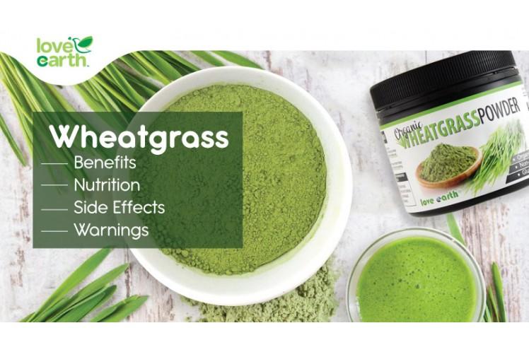 Wheatgrass benefits outlet and side effects