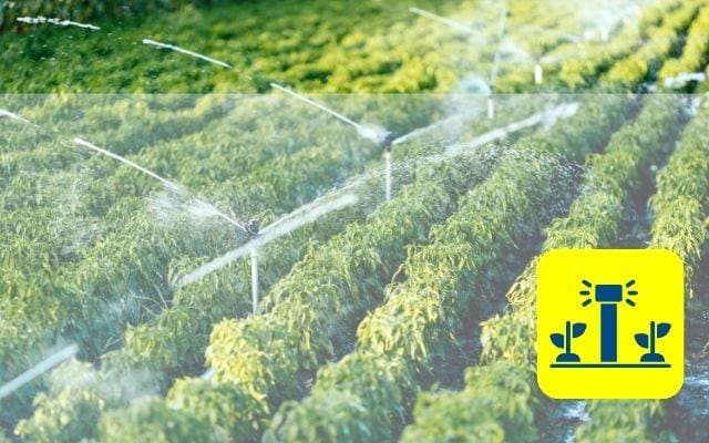 Irrigation Solution