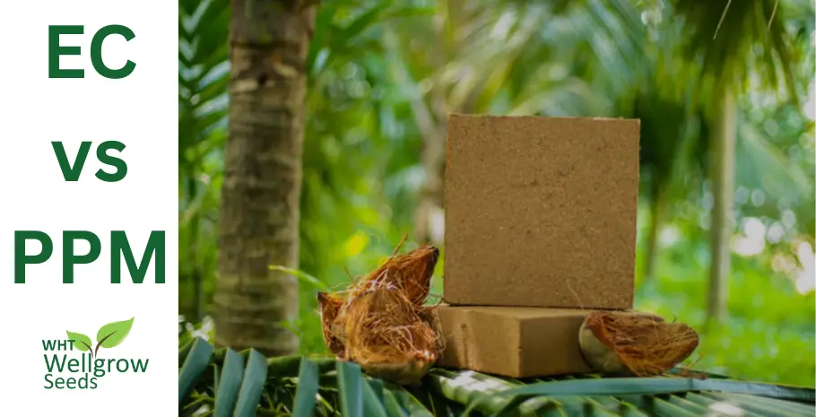 Cocopeat Blocks : EC vs PPM | WHT Wellgrow Seeds