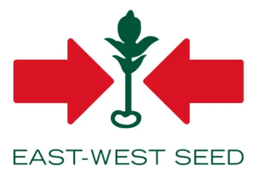 East West