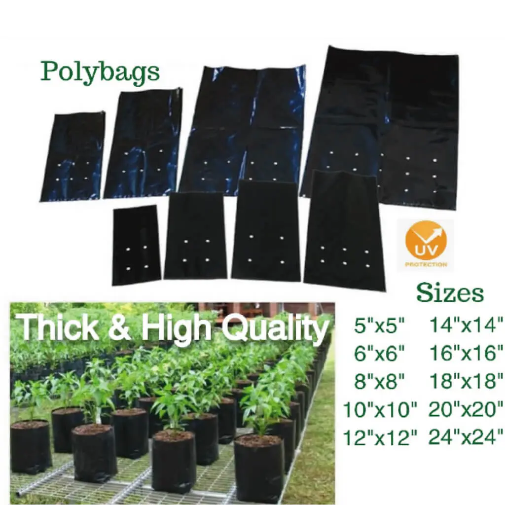Polybag