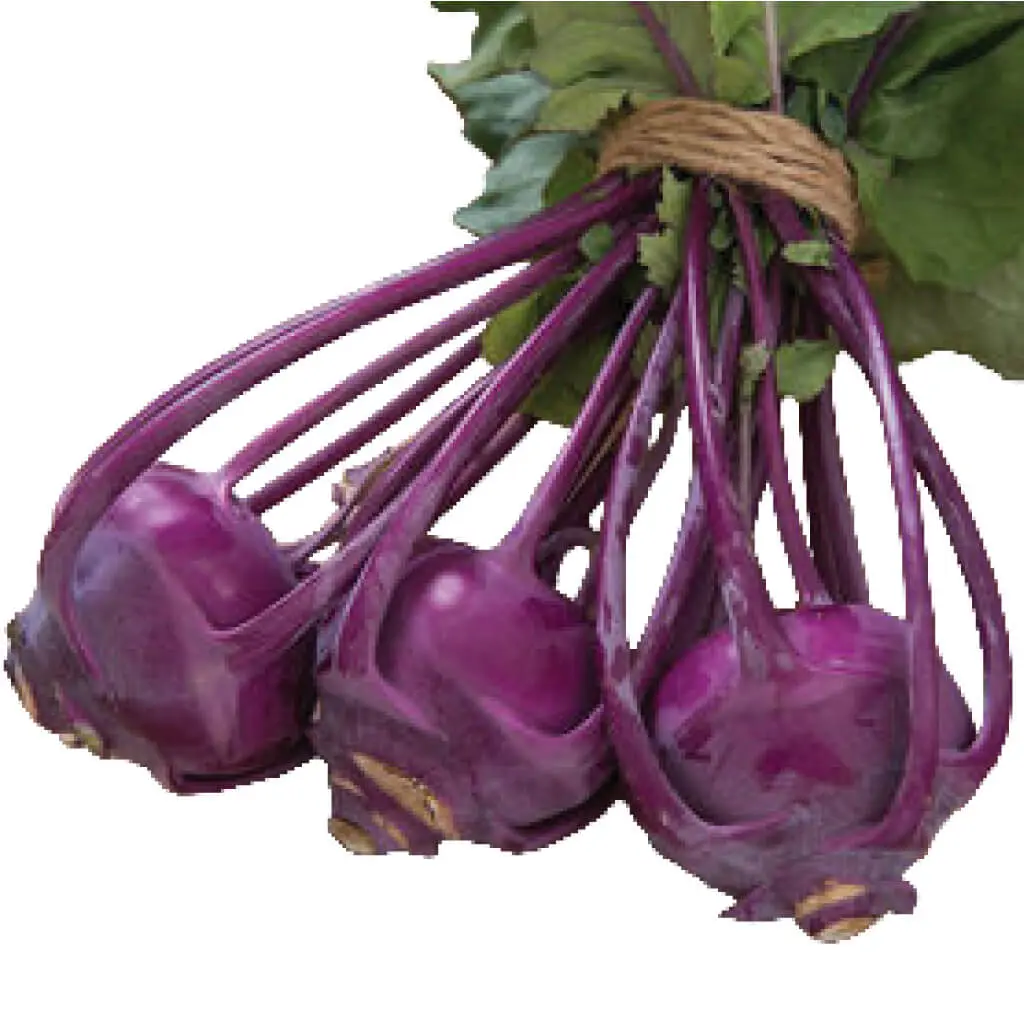Kohlrabi
