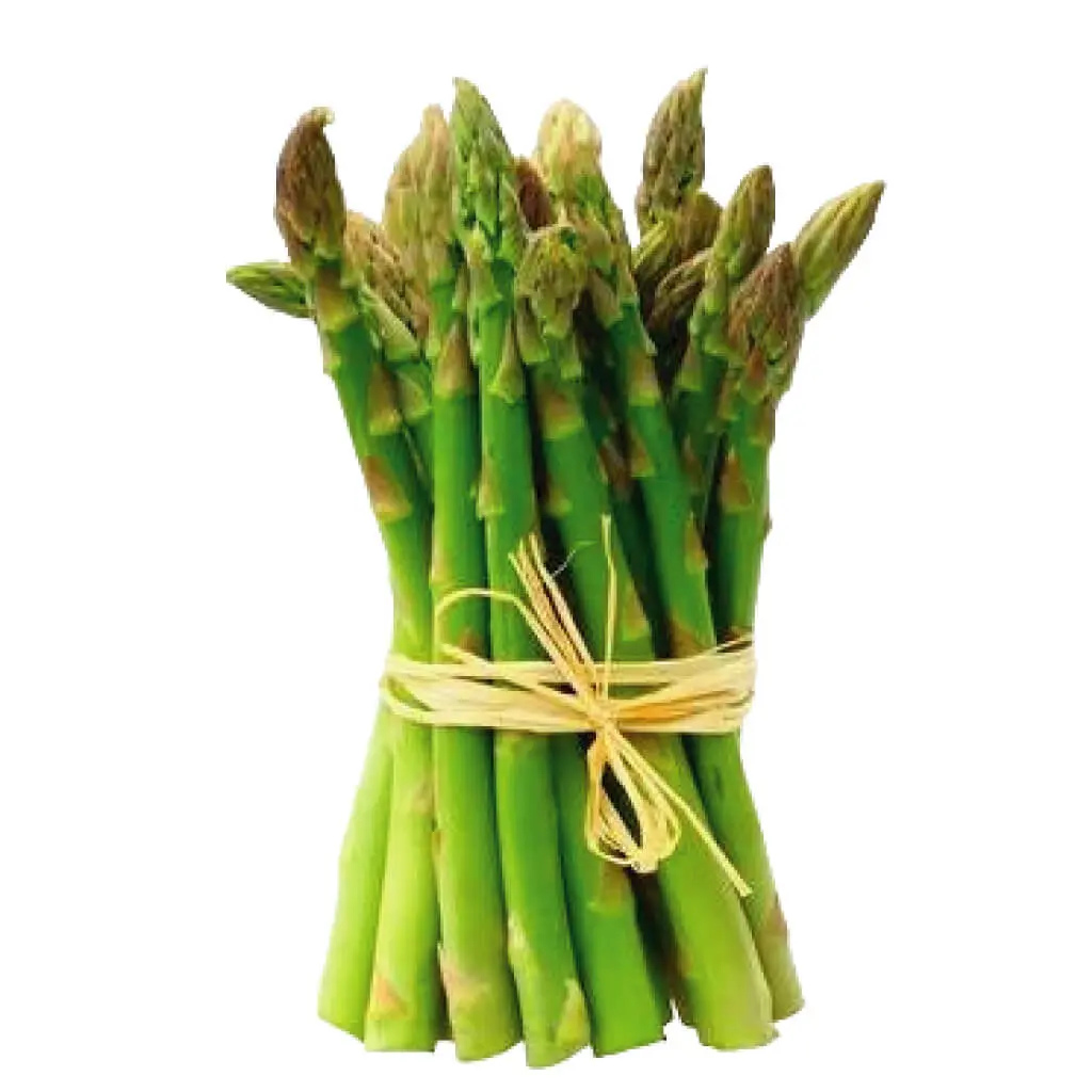 Asparagus