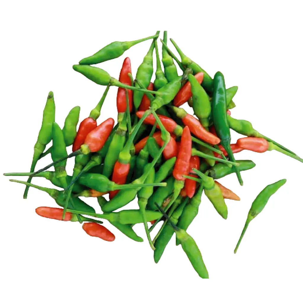 Chilli / Capsicum