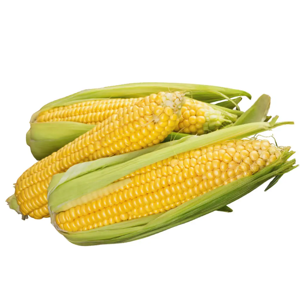 Corn