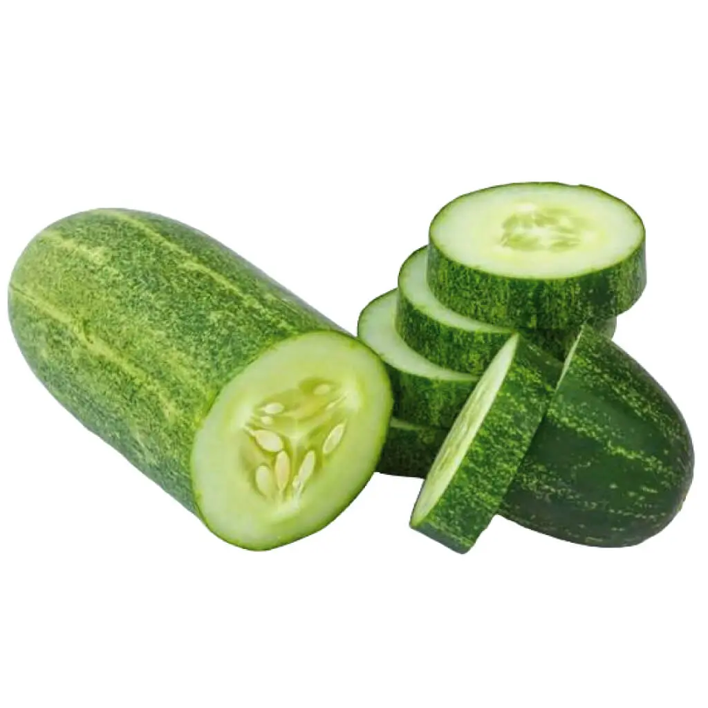 Cucumber