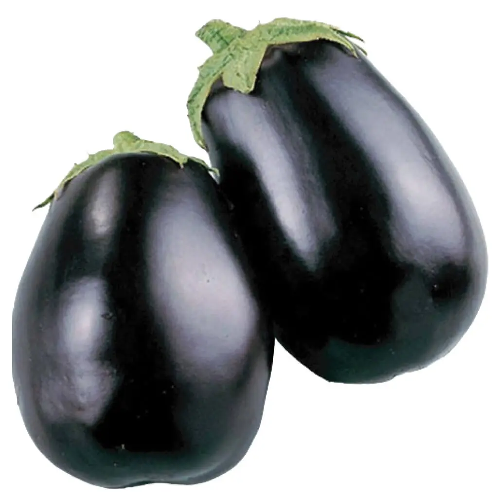 Eggplant