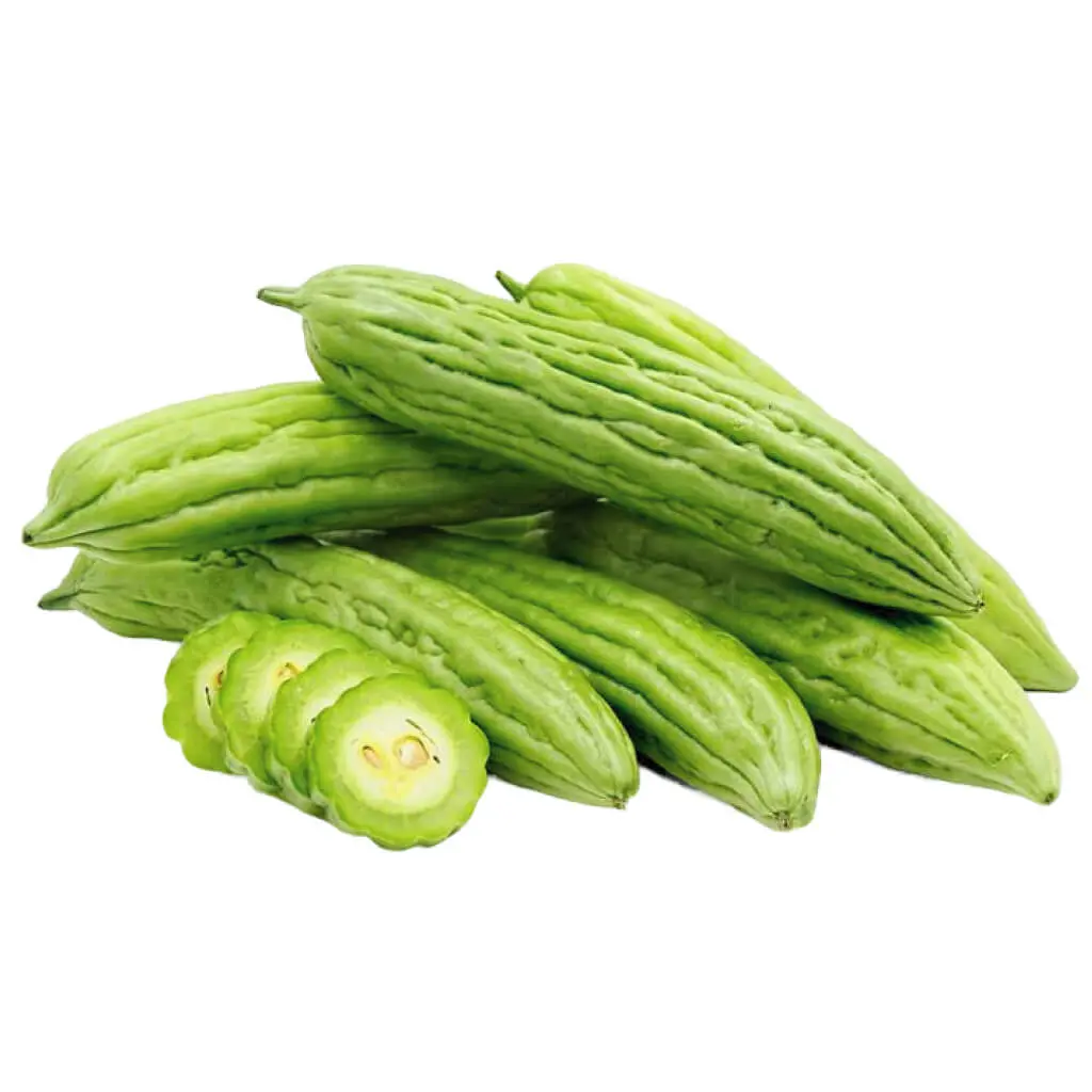 Gourd