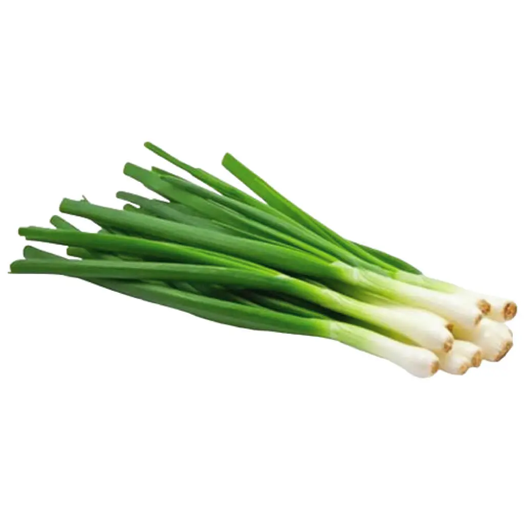 Onion