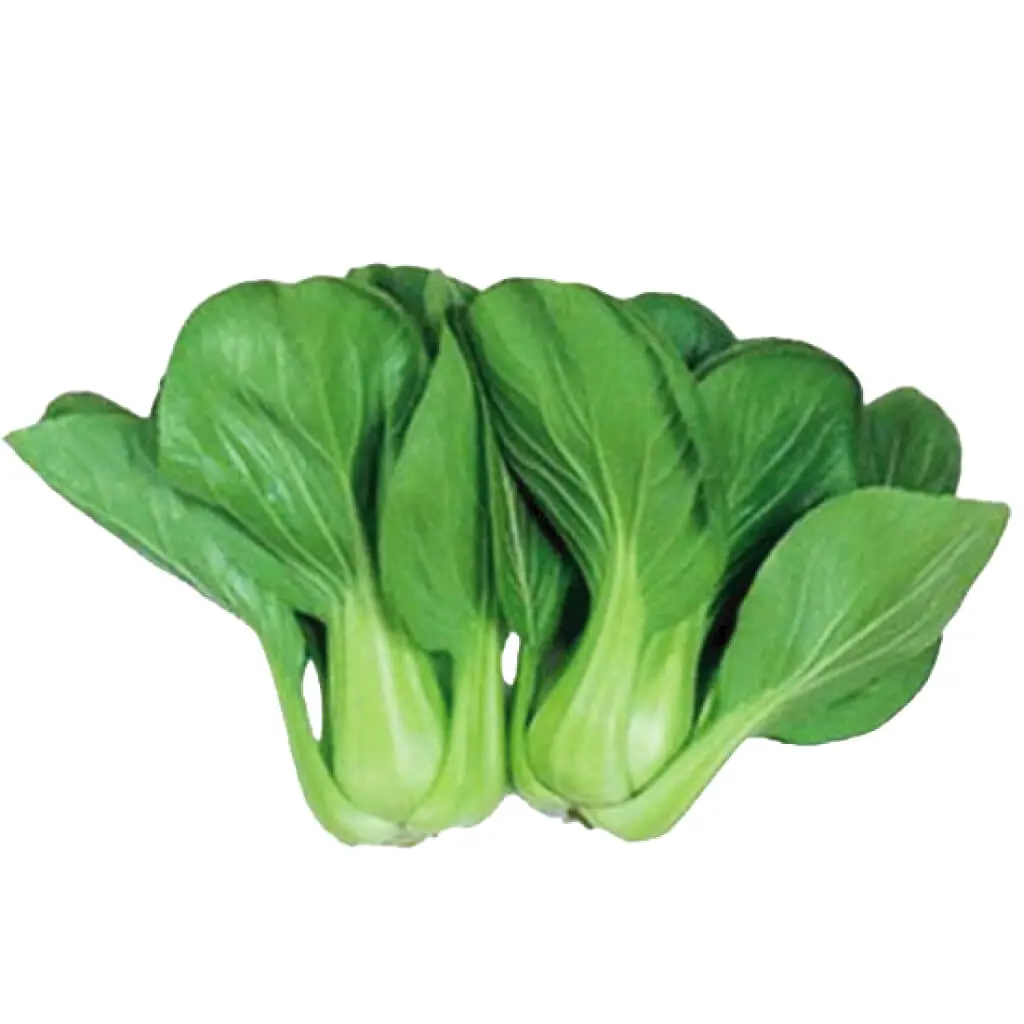 Pak Choy