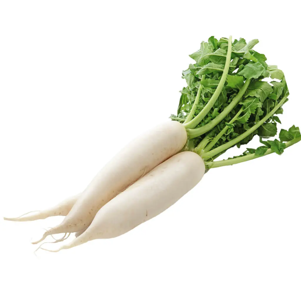 Radish