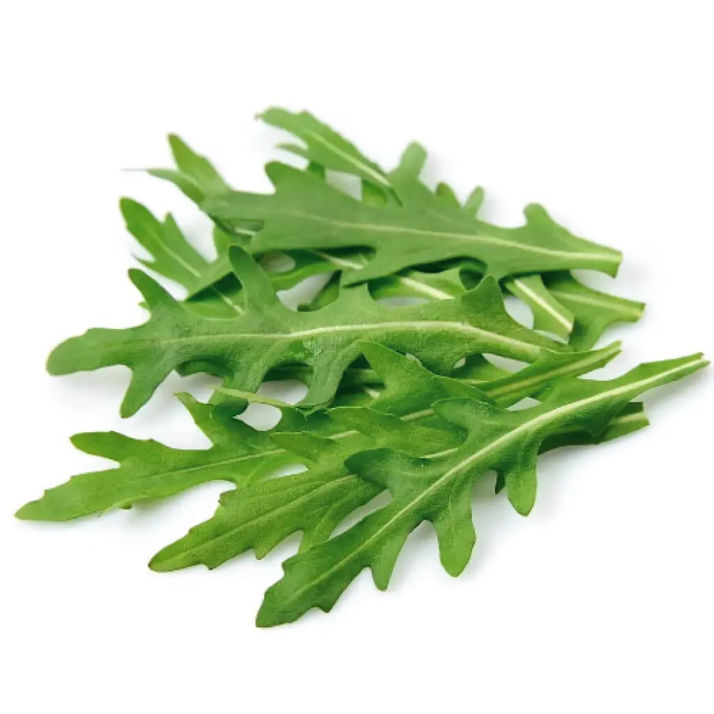 Rocket Salad