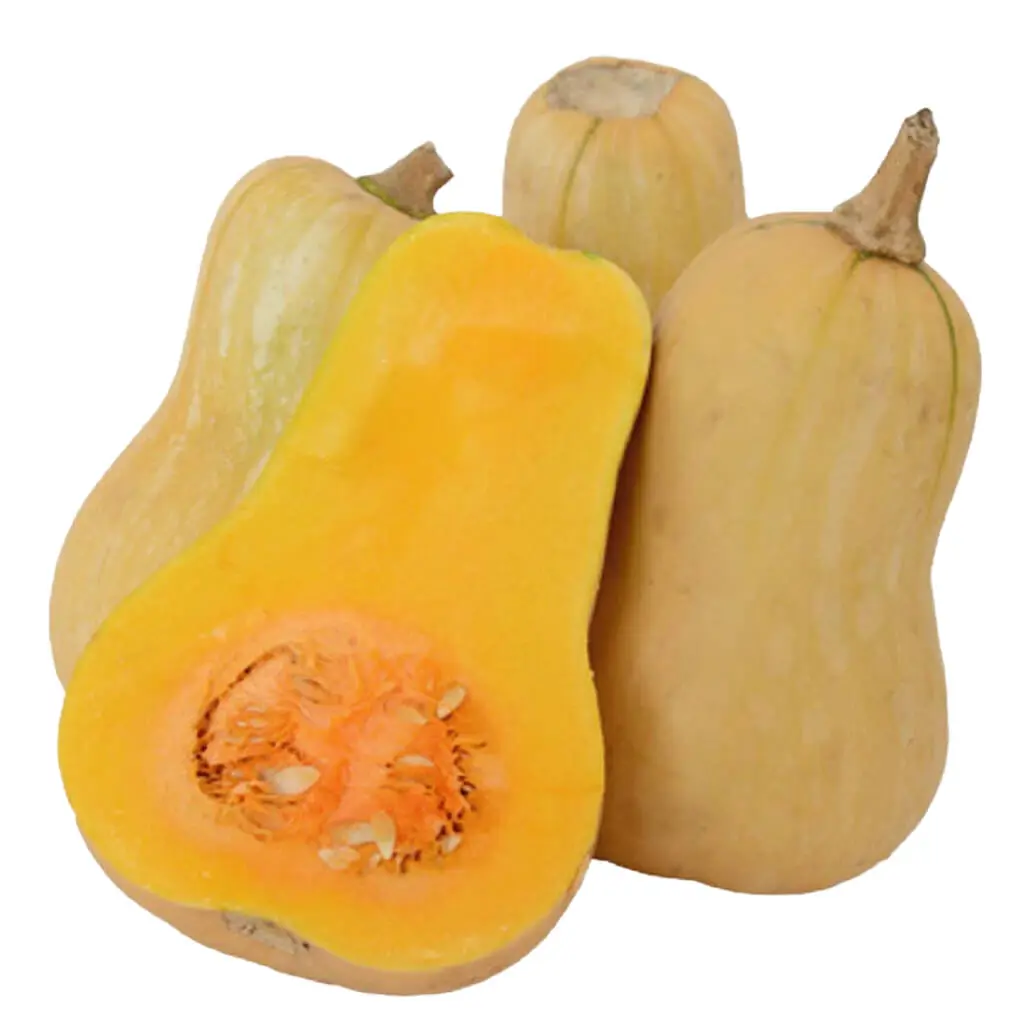 Squash