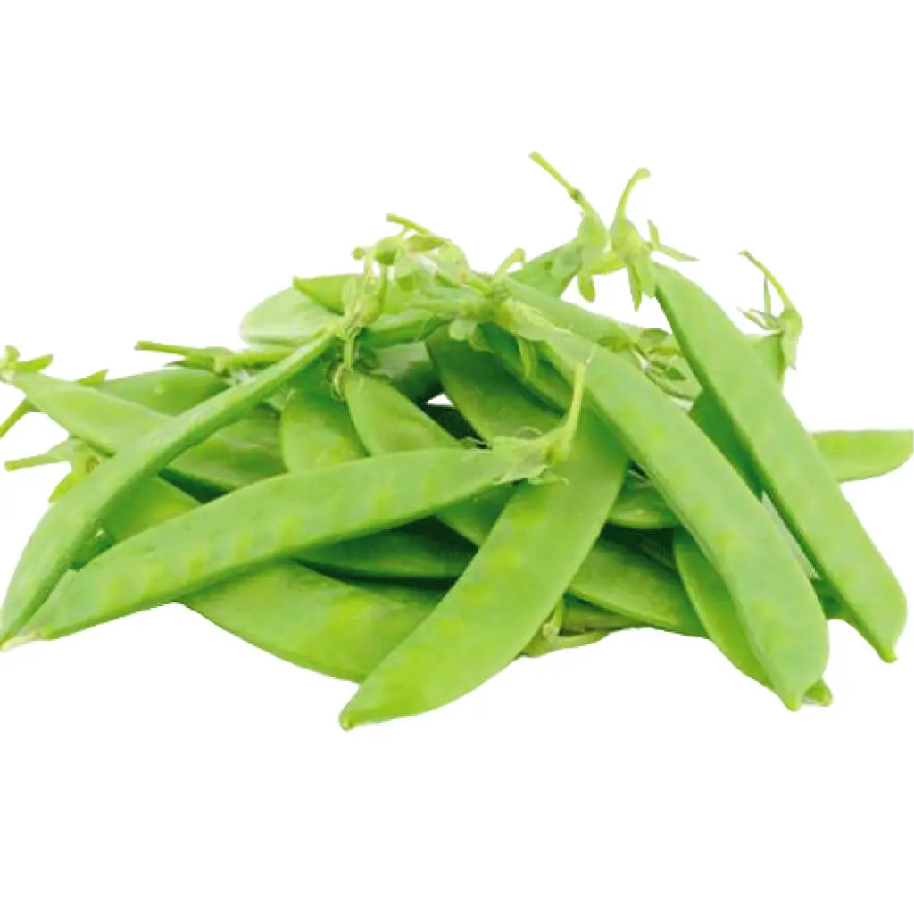 Pea