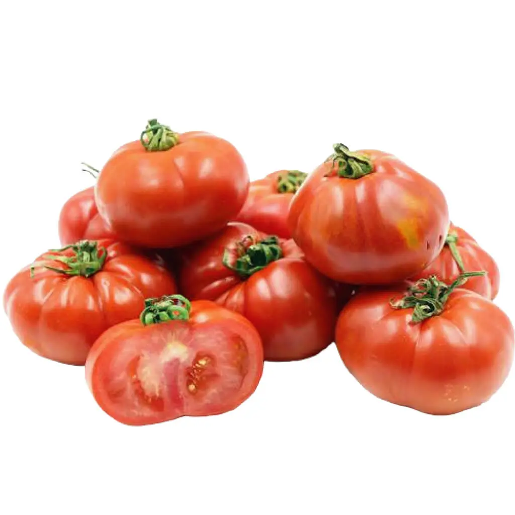 Tomato