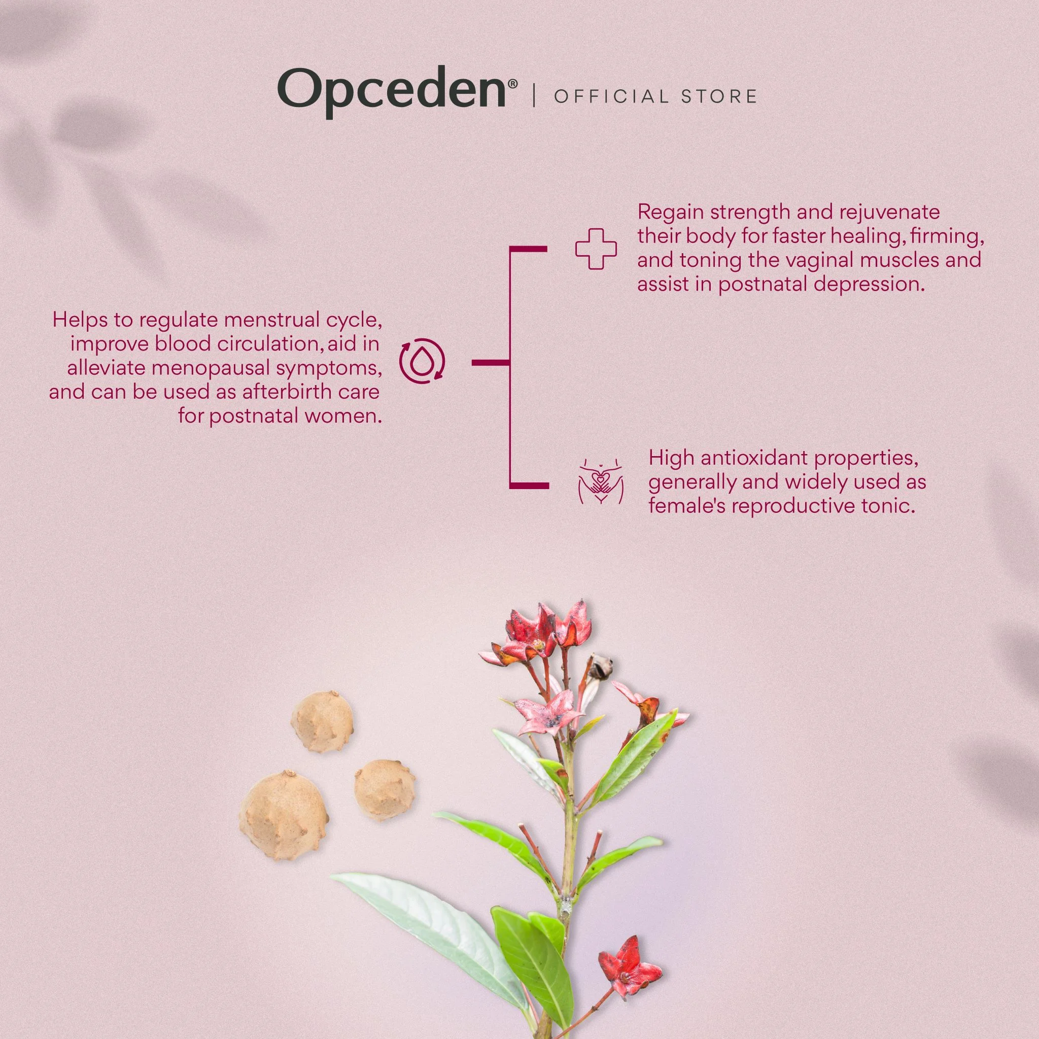 Opceden Kacip Fatima