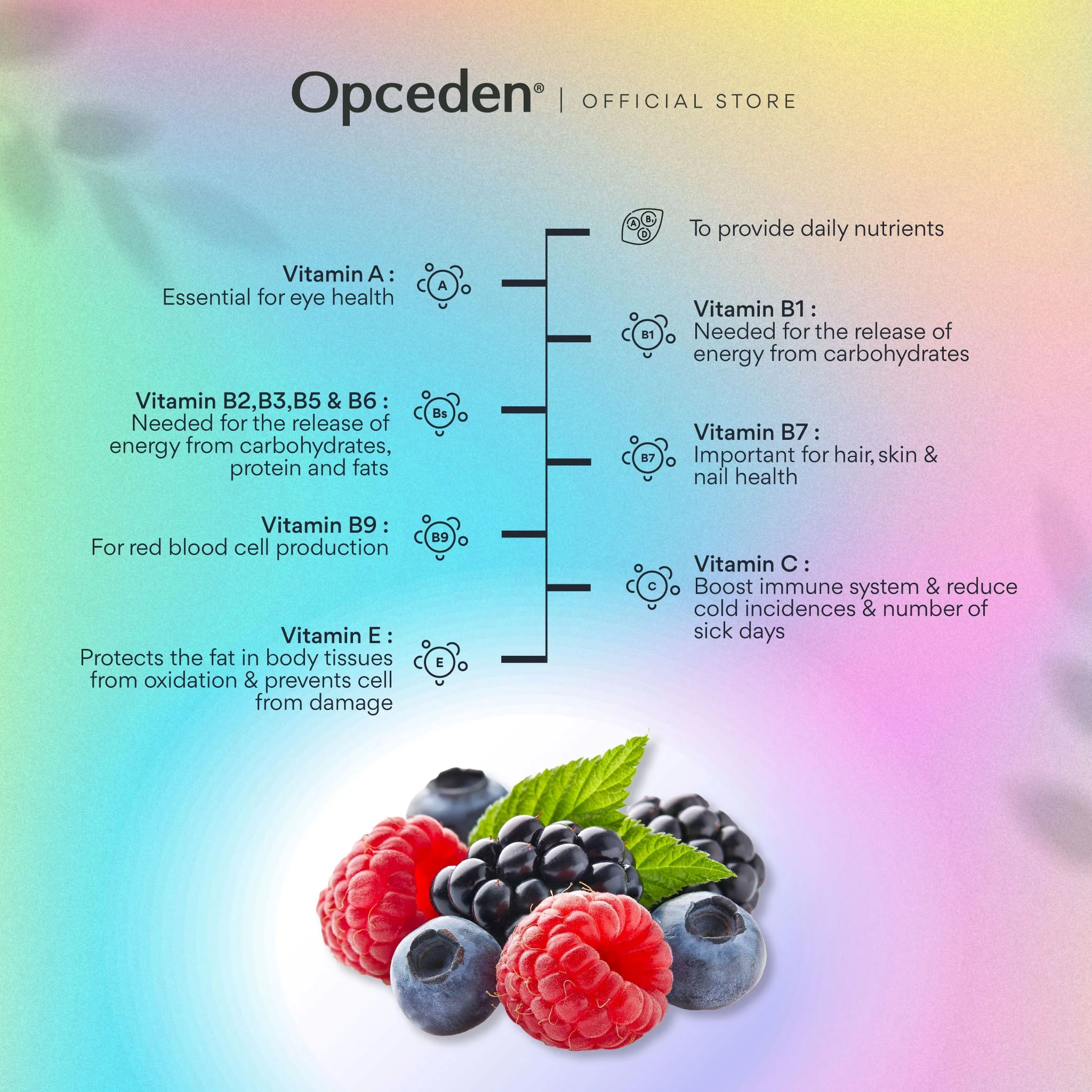 Opceden Kidz NatVKid