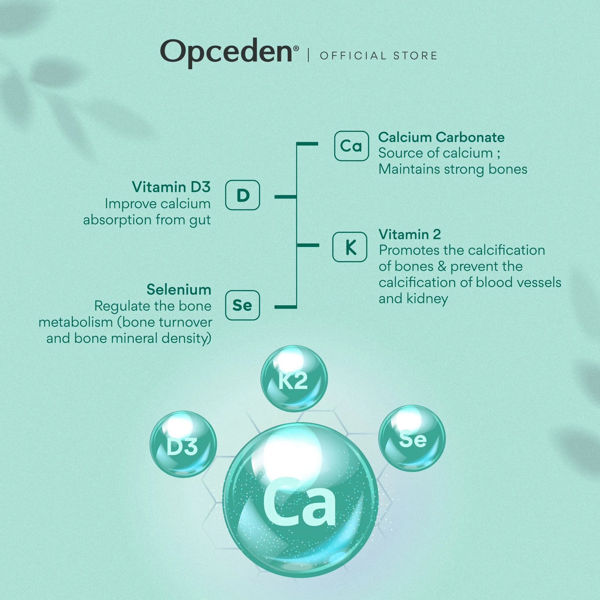 Opceden BonnetronG t