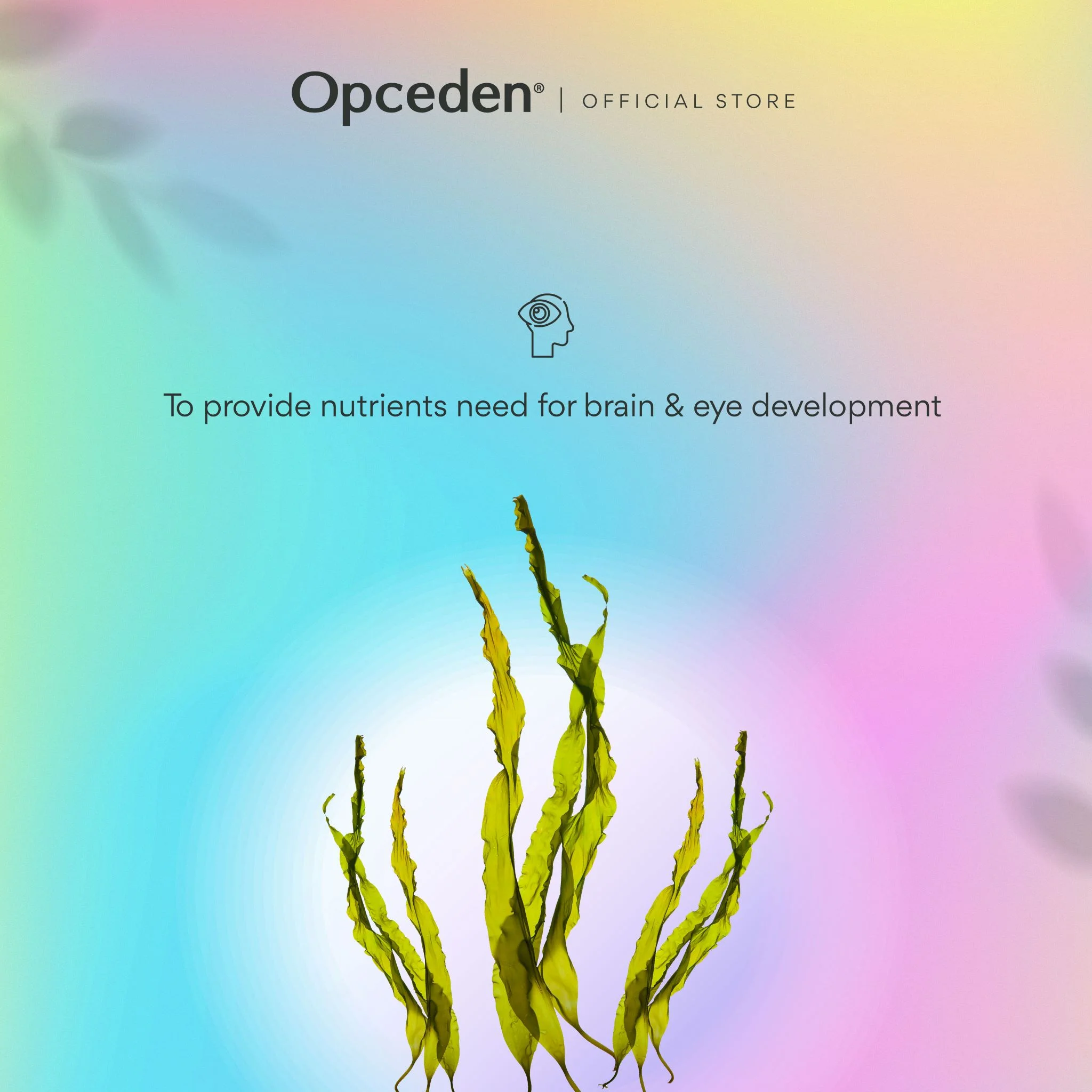 Opceden Kidz Algae D