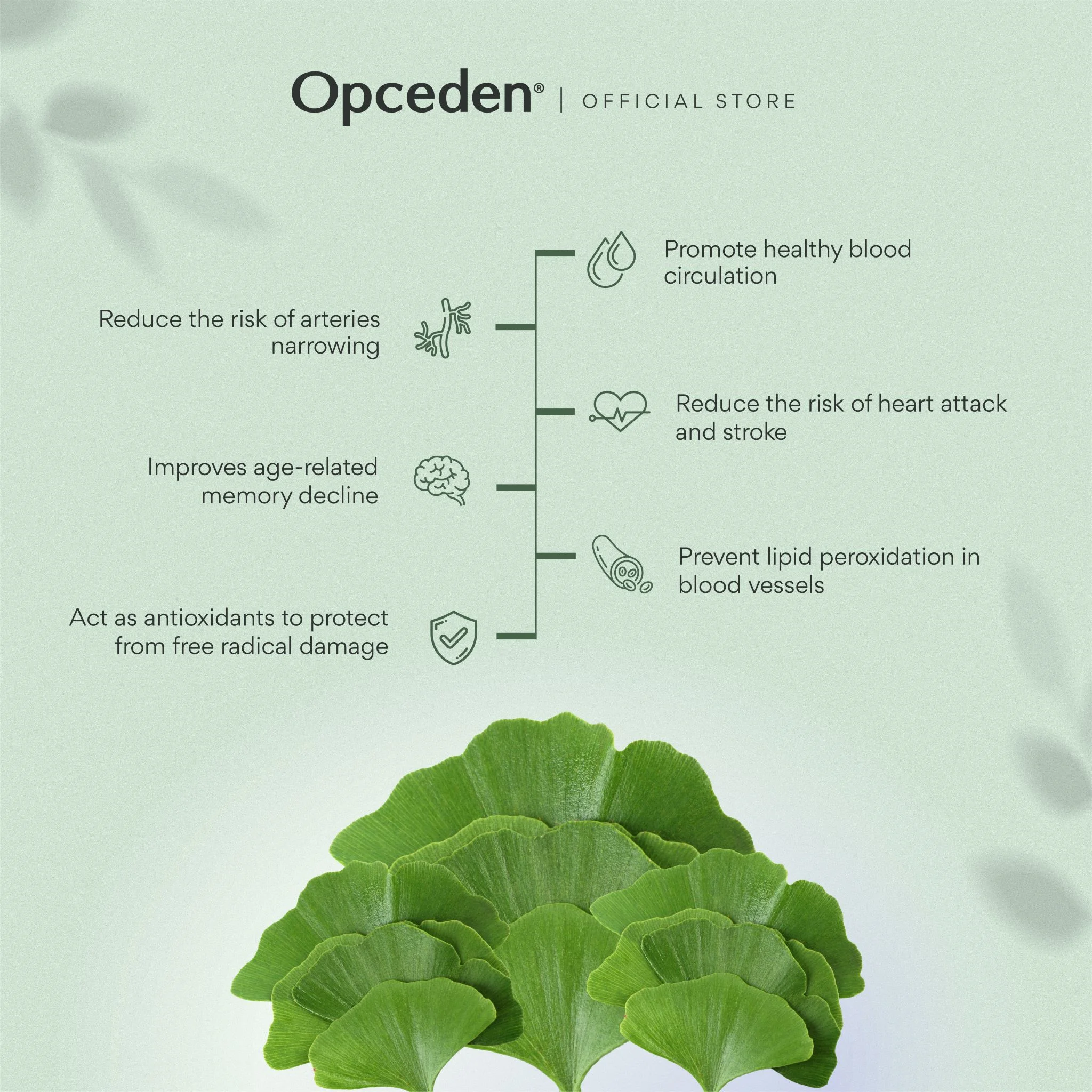 Opceden Ginkgo 100 (