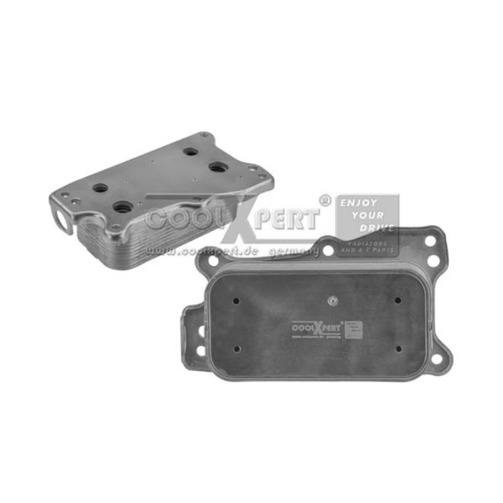 Mercedes Benz BBR Engine Oil Cooler M272 2721880001 0011019513