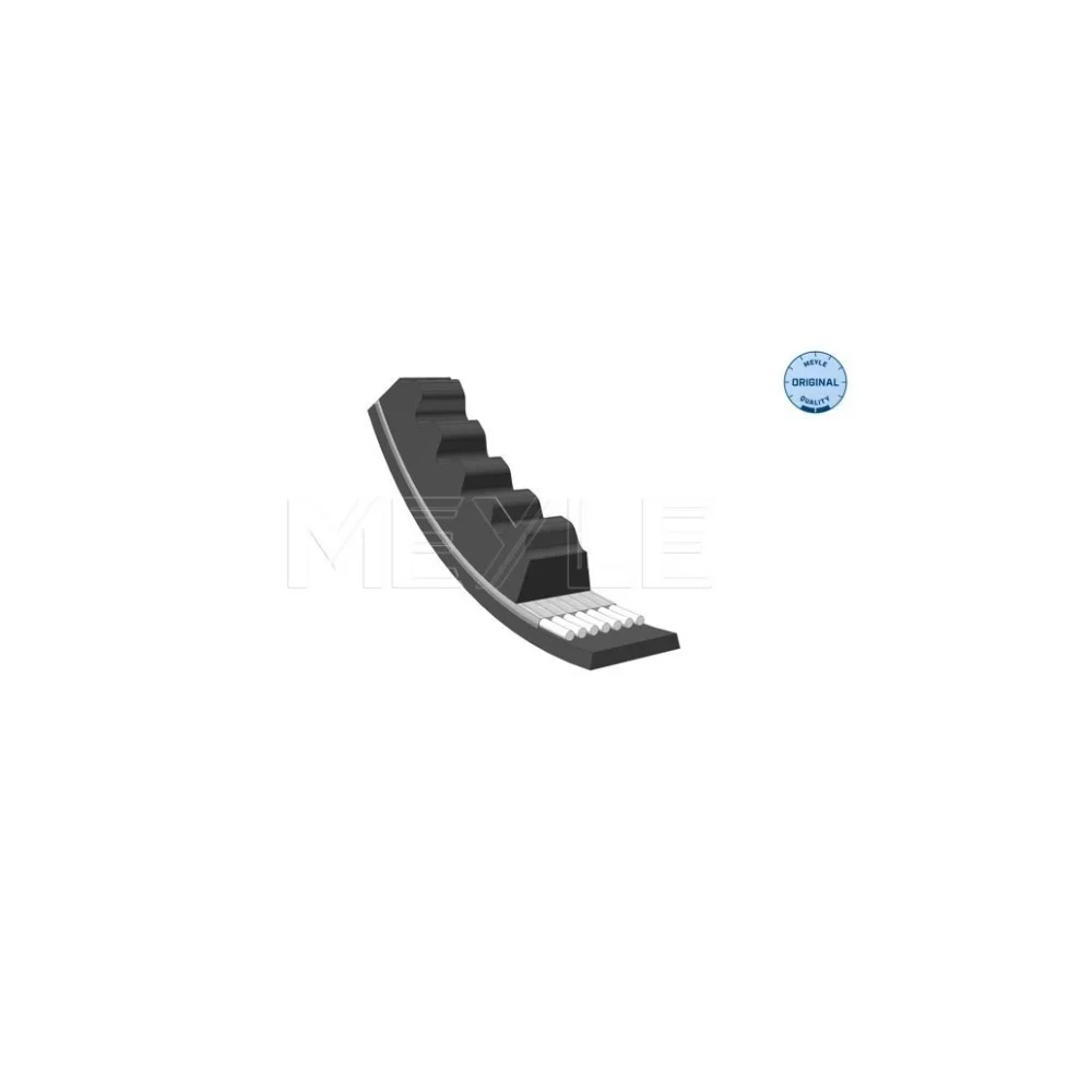 Mercedes Benz Meyle Fan Belt M102 M 0099975392 0059976792 10X1005 0520101005