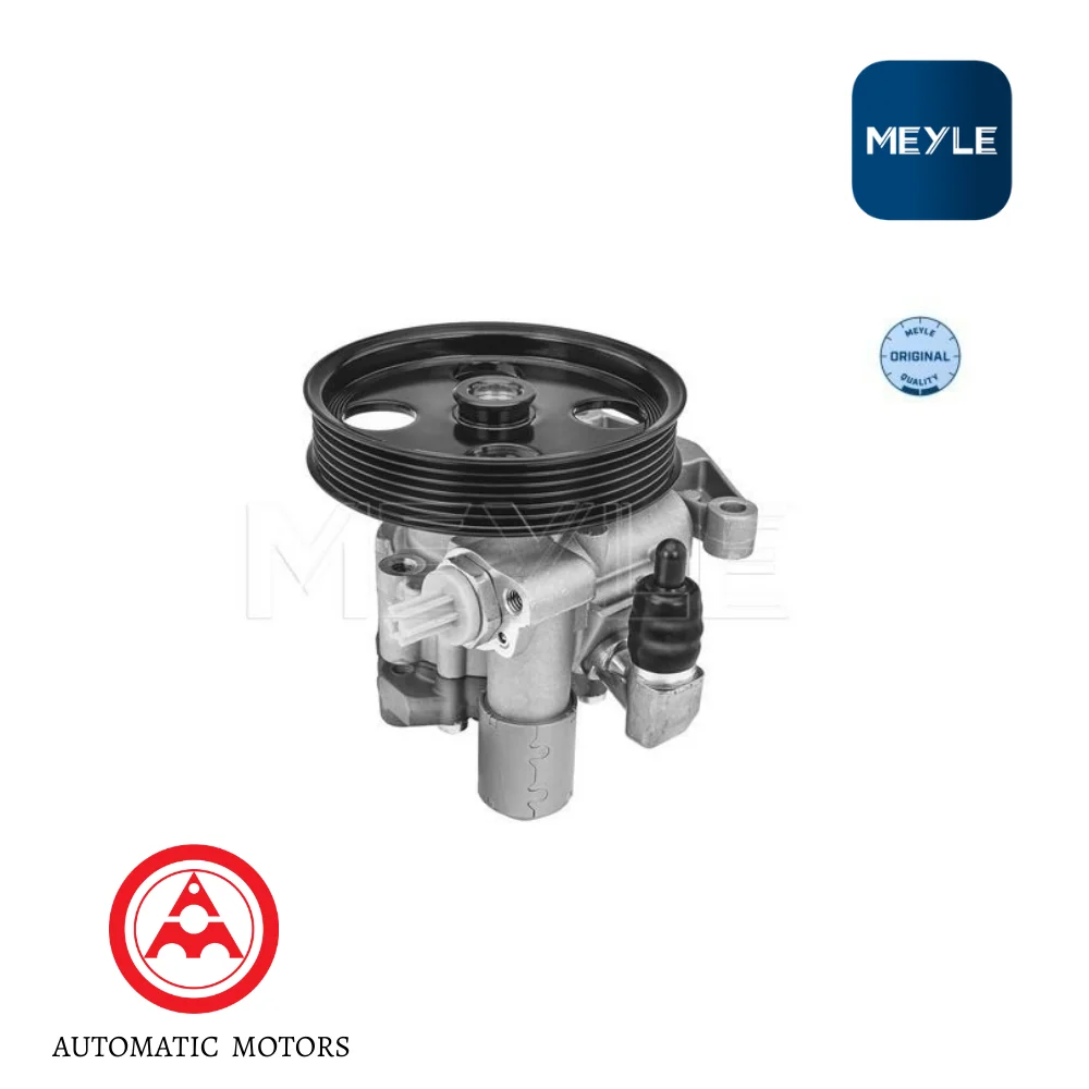 Mercedes Benz Meyle Steering Hydraulic Pump W219 0044663601 0044663701 0054661401 0011026016 0146310033