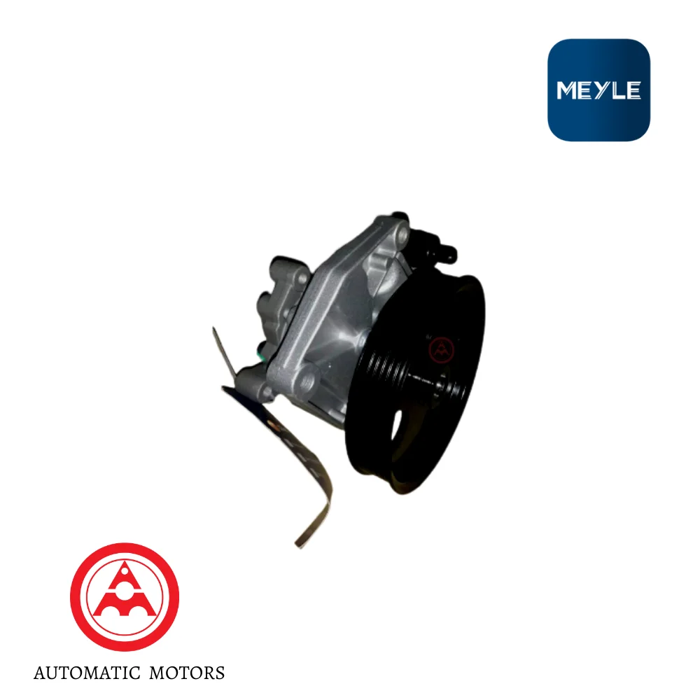 Mercedes Benz Meyle Steering Hydraulic Pump W219 0044663601 0044663701 0054661401 0011026016 0146310033