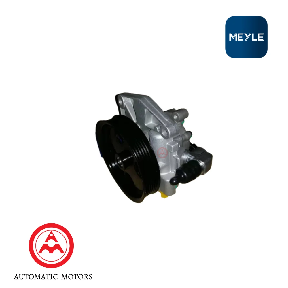 Mercedes Benz Meyle Steering Hydraulic Pump W219 0044663601 0044663701 0054661401 0011026016 0146310033