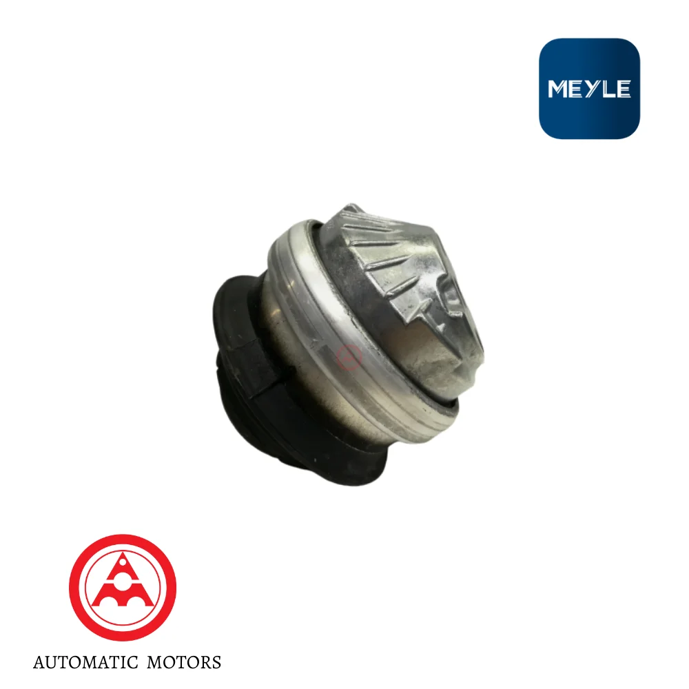 Mercedes Benz Meyle Engine Mounting W221-S300 350 W220-S280 320 2202400717 2202400617 2212401117 0140242066