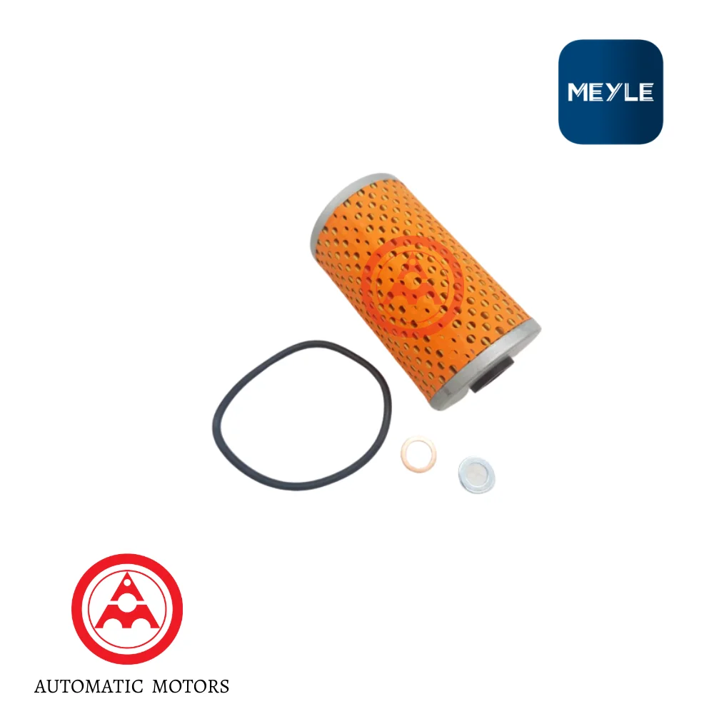 Mercedes Benz Meyle Oil Filter M102 M-Belt UTE Big O-Ring 1021800009 1021800109 50013013 AF53/1D OX33D 0140180006