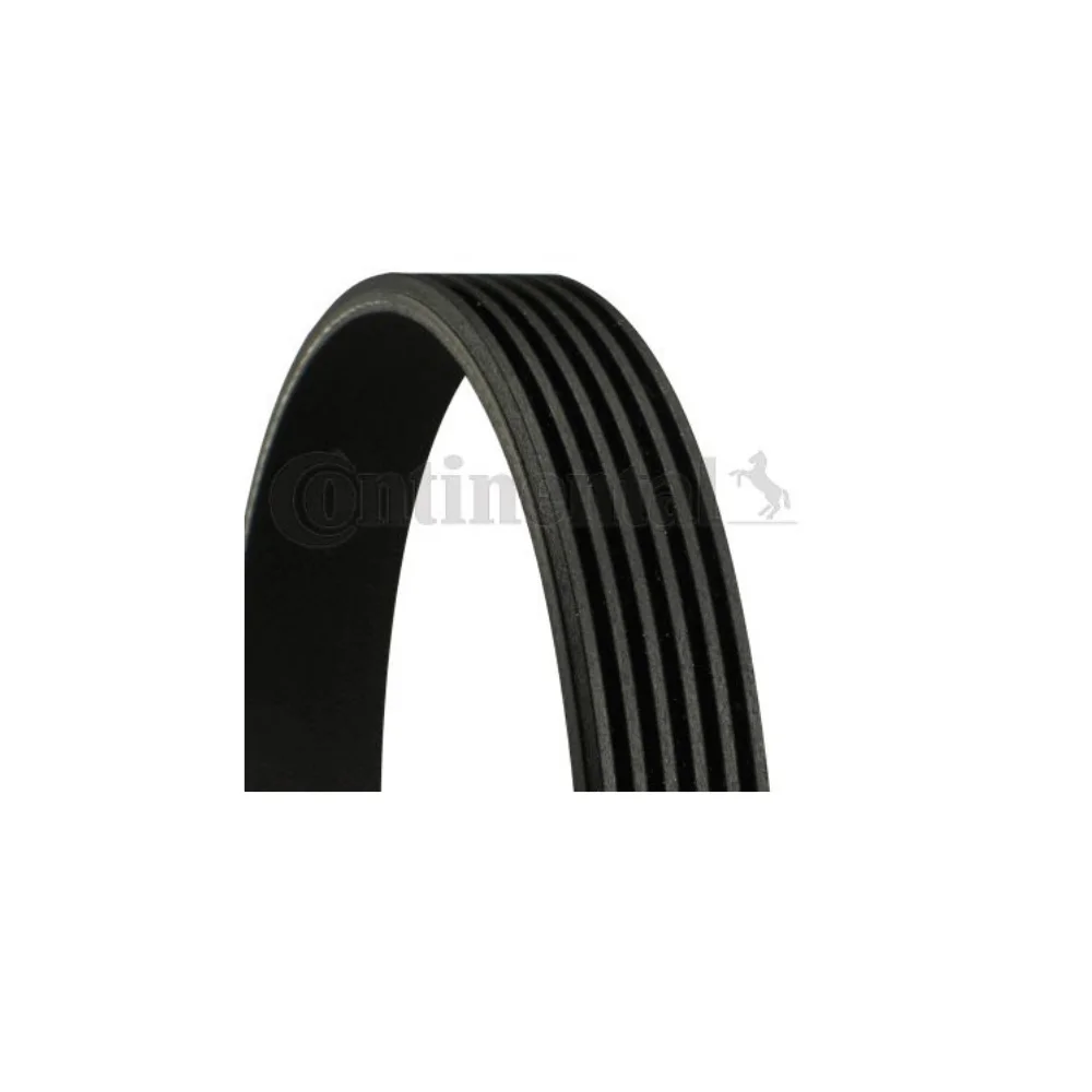 Continental Fan Belt BMW M43 E36-318 E46-318i 95> 6PK1733 11281437369 11281437880 11281739816