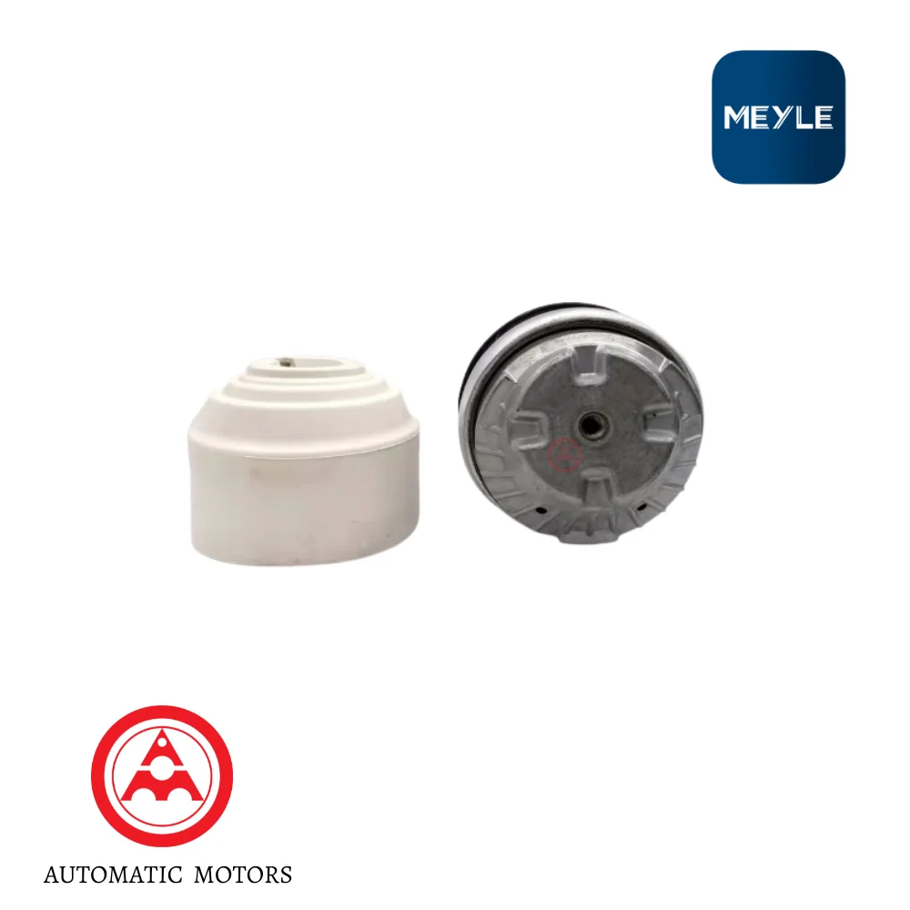 Mercedes Benz Meyle Engine Mounting W203-C240/320 V6 2032401217 2032411113 500344 0140240151 2540701